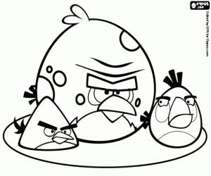 Desenhos do Angry Birds para Imprimir e Colorir