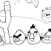 Desenhos para colorir de Angry Birds