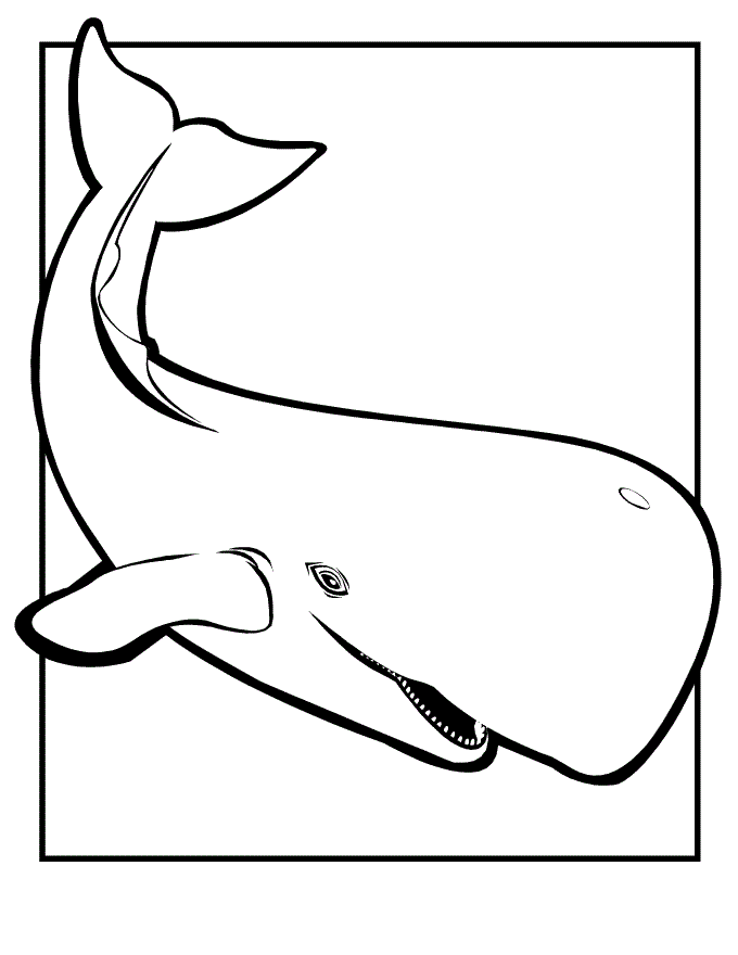 Imprimir desenho Baleias