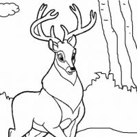 Desenhos para colorir de Bambi