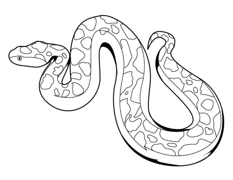 Desenhos para colorir – Cobra