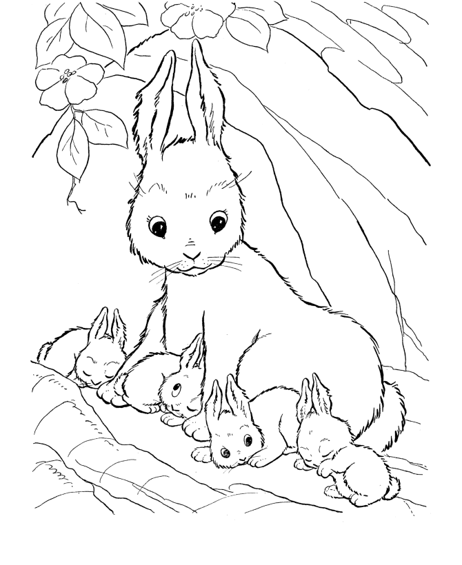 Imprimir desenho Coelhos