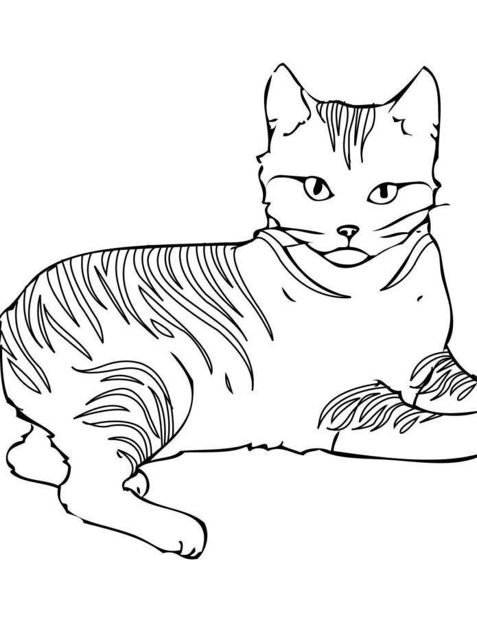 Imprimir desenho Gatos