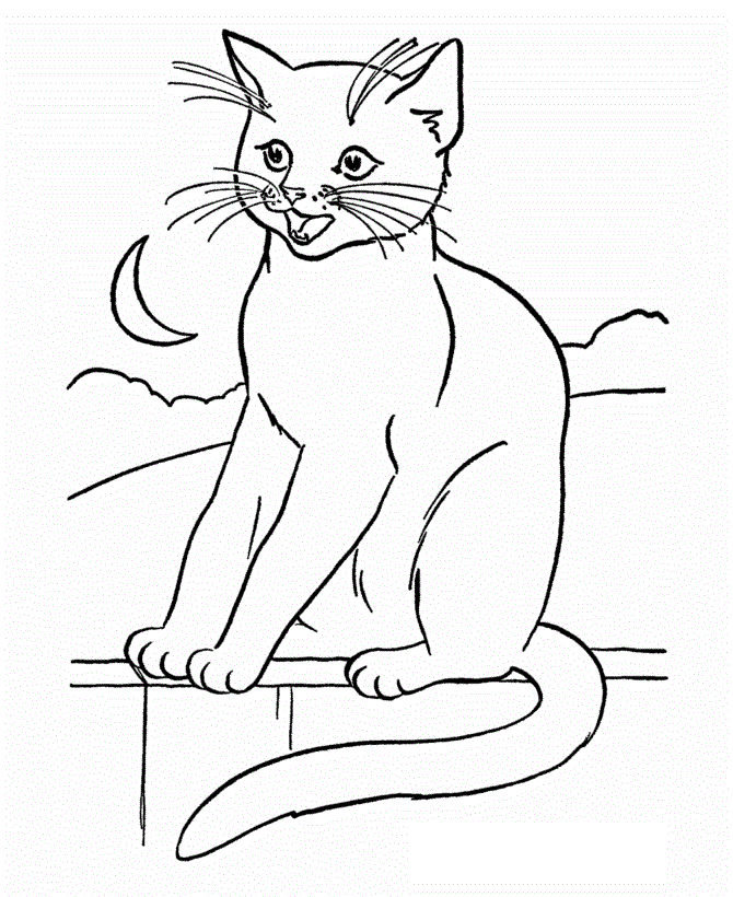 Imprimir desenho Gatos