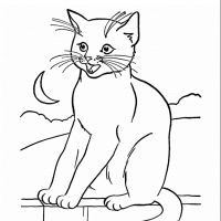 Desenhos para colorir de Gatos