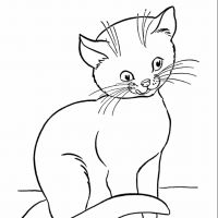 Desenhos para colorir de Gatos