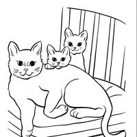 Desenhos infantis de gatos para pintar