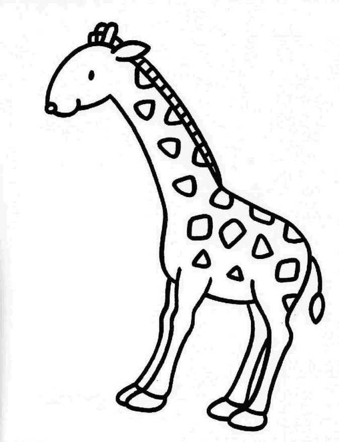 Imprimir desenho Girafas