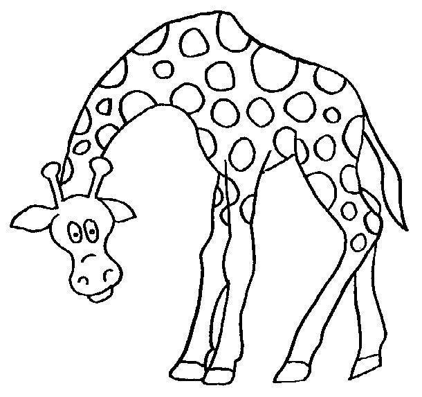 Imprimir desenho Girafas