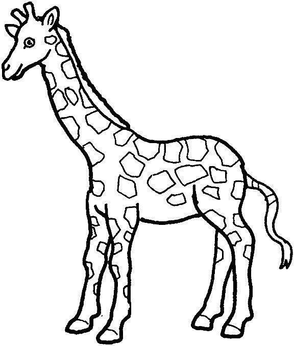 Imprimir desenho Girafas