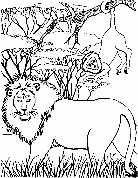 Imprimir desenho Leões