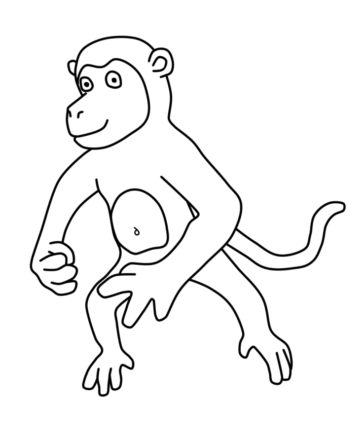 Imprimir desenho Macacos