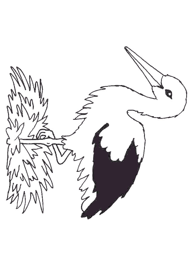 Imprimir desenho Pássaros