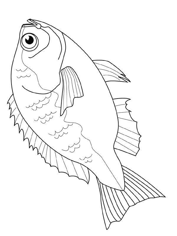 Imprimir desenho Peixes