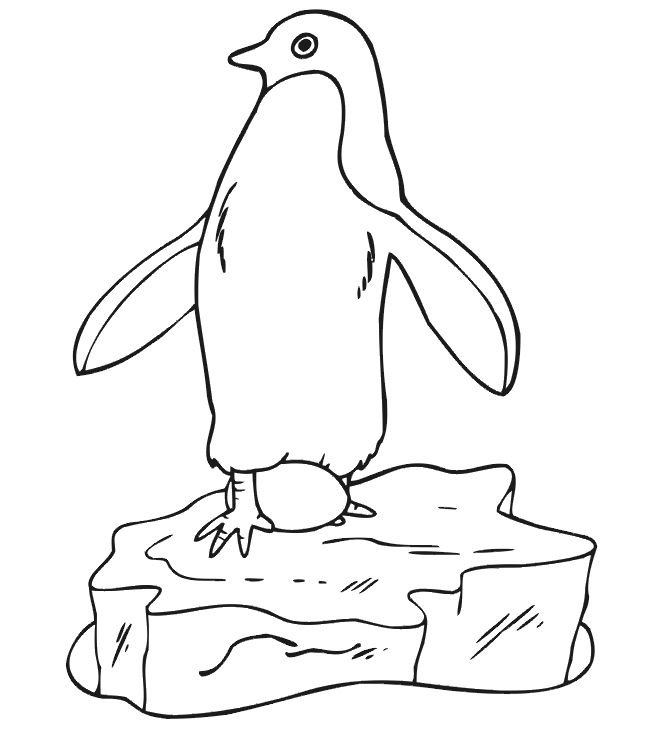 Imprimir desenho Pinguins