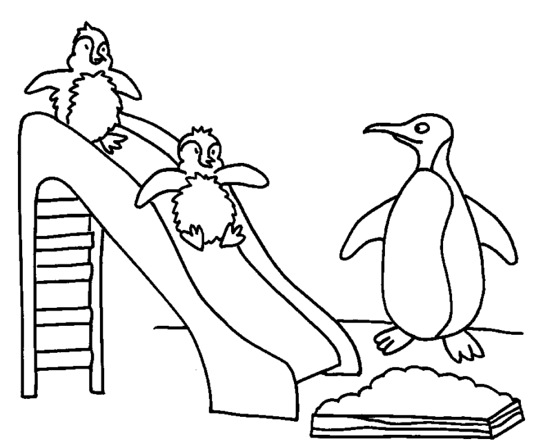 Imprimir desenho Pinguins