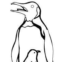 Desenhos para colorir de Pinguins