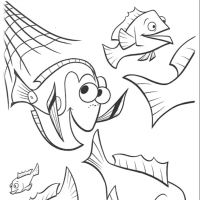 Desenhos para colorir de Procurando Nemo