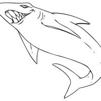 Desenhos para colorir de Tubarões