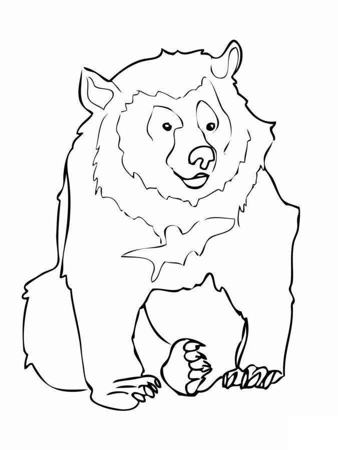 Imprimir desenho Ursos