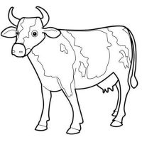 Desenhos para colorir de Vacas