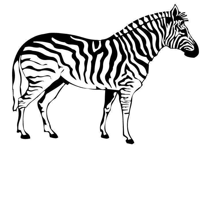 Imprimir desenho Zebras