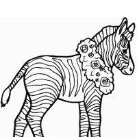 Desenhos para colorir de Zebras